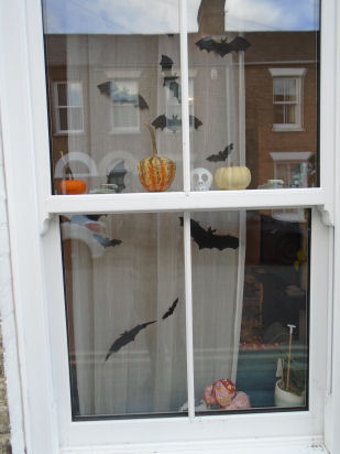 2023 Gwydir St Halloween window
